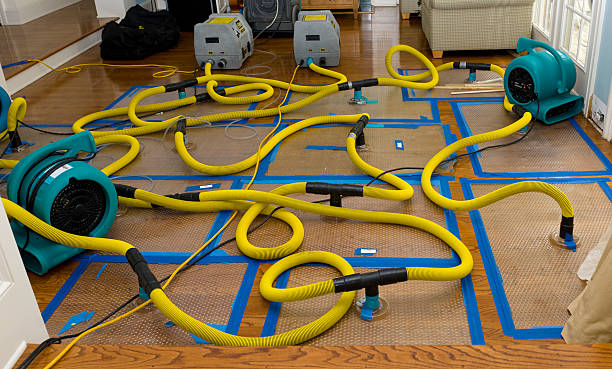 Professional Storm Water Damage Restoration technician working in Crystal, MI