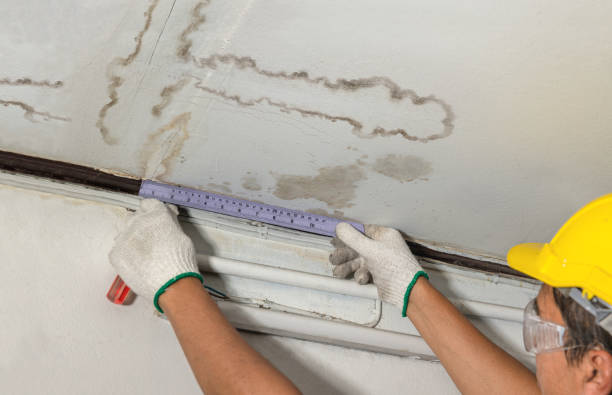 Affordable Water Damage Repair solutions in Crystal, MI